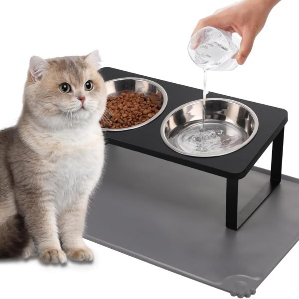 Elevated Tilted Cat Bowls with Feeding Mat