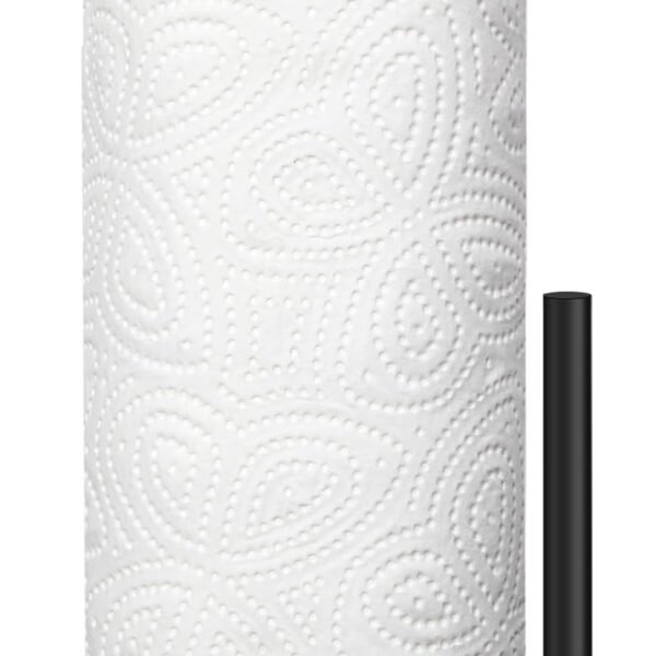 Stainless Steel Countertop Paper Towel Holder