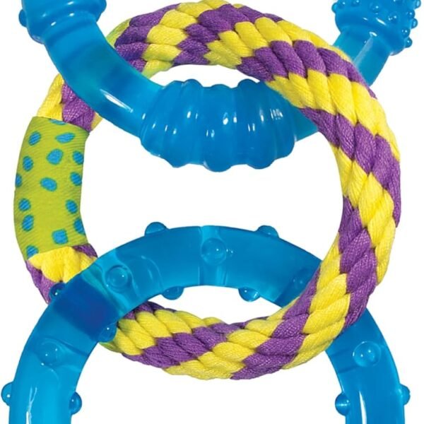 Textured Dental Dog Chew Toy for Teeth Cleaning